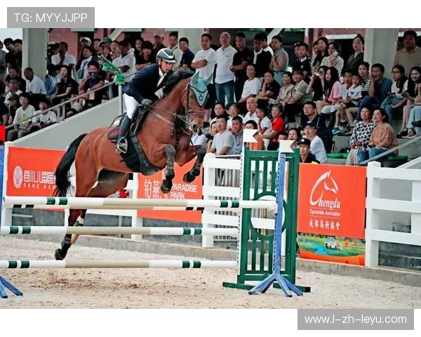 十六支劲旅89名骑手，十五运马术参赛名单揭晓，十四运马术比赛门票